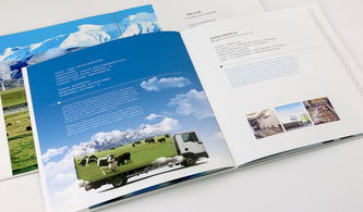 VI企业形象设计 为什么它是值得信赖的企业形象策划核心