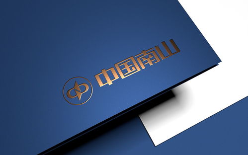 中国南山集团品牌标志设计与集团VI形象设计——进出口代理业务的战略支撑