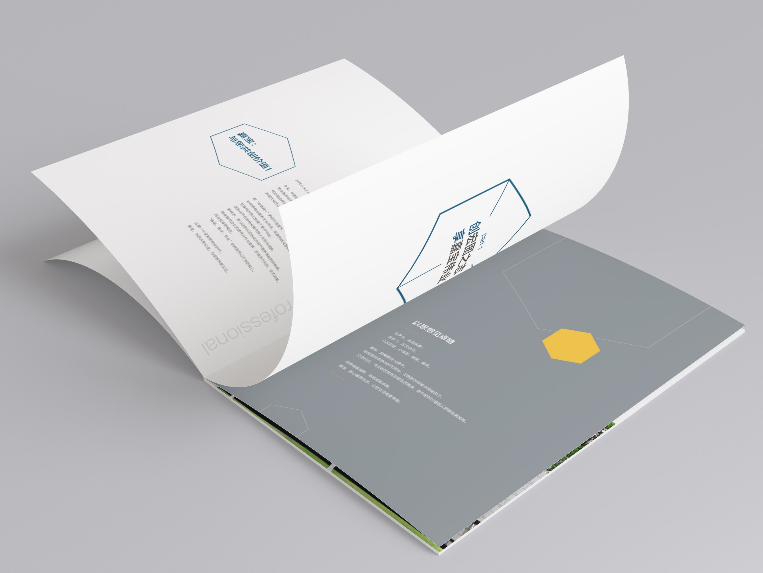 公开收藏夹 画册与进出口代理在站酷的创意交融